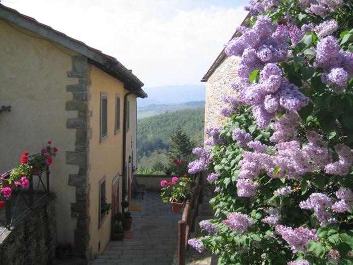 Borgo Tramonte Hotel Pratovecchio Exterior foto